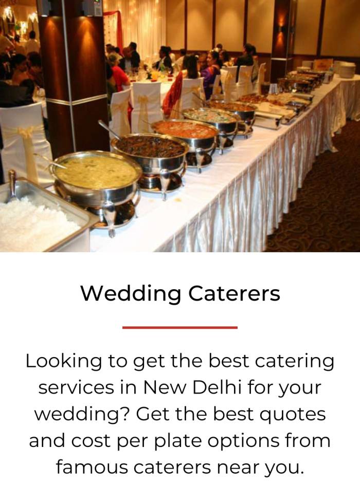 Kitty Party Caterers (2)